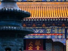 -紫竹林