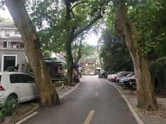 -龙井村