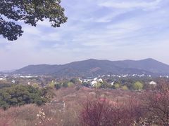 -香雪海