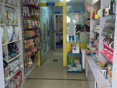 -西安京西宠物医院·瘫痪·疑难杂症