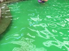 -御龙温泉度假村