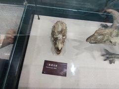 -惠州科技馆