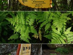 -汤旺河林海奇石景区