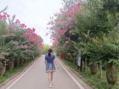 -武汉紫薇都市田园