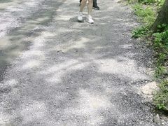 -本溪汤沟绿石谷森林公园