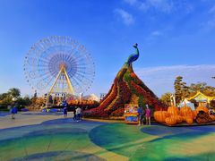 -七彩云南欢乐世界