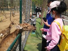 -大连铭湖国际观光牧场