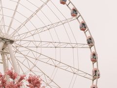 -避风塘(江桥万达店)