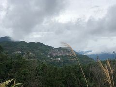 -军营村