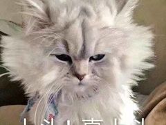 -香糯炎荞饼王(解放碑店)