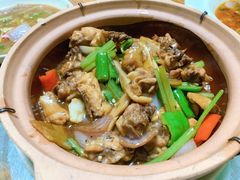 -大富蚝乌东哥饭店·石锅鱼杂·柠檬鸭(革新路店)