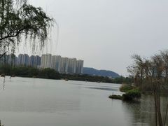 -洋湖国家湿地公园