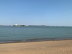 -沙湾姜撞奶(十四涌店)