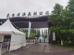 -黄海国家森林公园