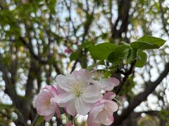 -齐白石旧居纪念馆