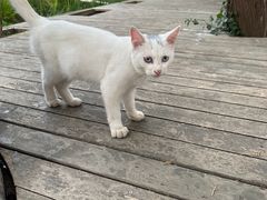 -前小桔亲子创意农场·草莓采摘·露营烧烤