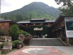 -藏龙百瀑风景区