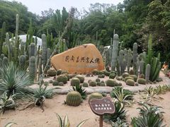 -深圳仙湖植物园