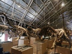 -世界恐龙谷景区