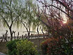 -焦岗湖旅游度假区