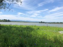 -野鸭湖国家湿地公园