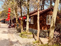 -南京市溧水区傅家边梅花山弄山庄