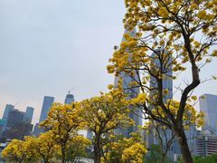 -深圳人才公园