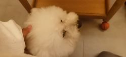 -悦己美容养生