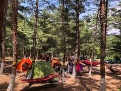 -帽儿山国家森林公园