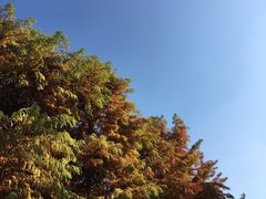 -南湖湿地公园