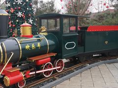 -南宫五洲植物乐园