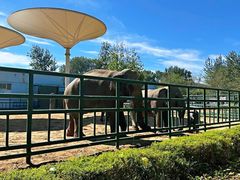 -西霞口神雕山野生动物世界