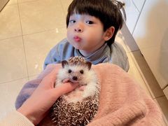 -藦茜花园宠物主题亲子互动体验馆(国顺东路店)