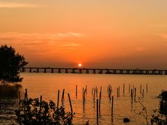 -宝安西湾红树林湿地公园