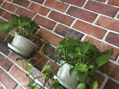 -半秋山西餐厅(宜昌大洋店)