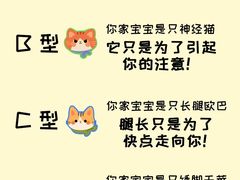 -翊宠yipet猫狗购宠庄园犬舍•猫舍