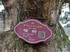 -鹿亭中村