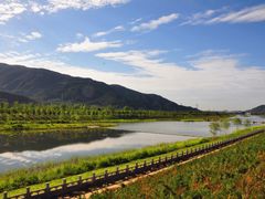 -阳台山自然风景区