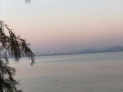 -深圳湾公园(南山区)