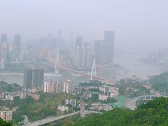 -南山植物园