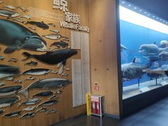 -青岛海底世界-水族馆