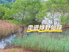 -华侨城湿地公园