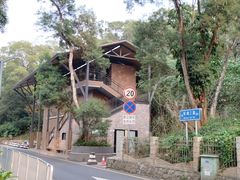 -银湖山郊野公园-相思林