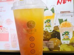 多肉桃桃-舍予茶(桂林路店)