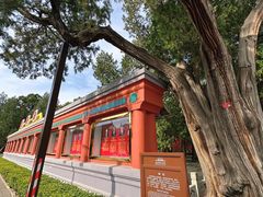 -北京市劳动人民文化宫(太庙)