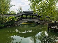 -合肥滨湖国家森林公园