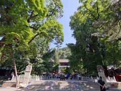 -潭柘寺景区