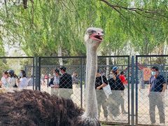 -长白岛森林公园