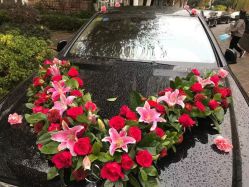 -蚂蚁婚车