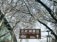-鸡鸣赐茶(鸡鸣寺路店)